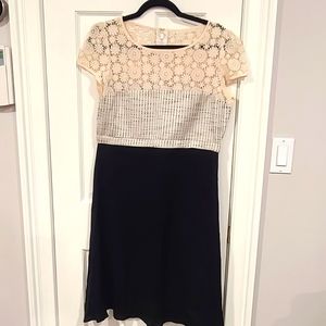 AXARA Paris Dress - Size 38 / Size 6 US